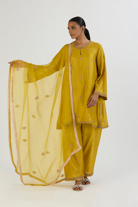 Taavi Dupatta - Lime Green