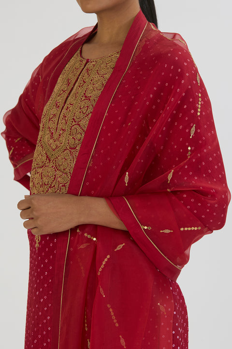 Smita Dupatta - Red Bandhani