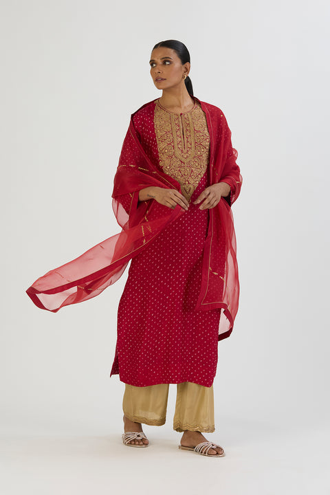 Smita Dupatta - Red Bandhani