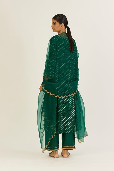 Navya Dupatta - Green