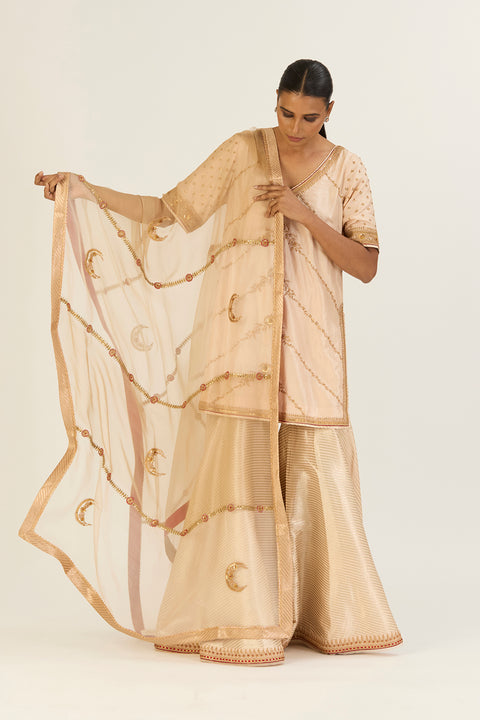 Rutvi Dupatta - Oats