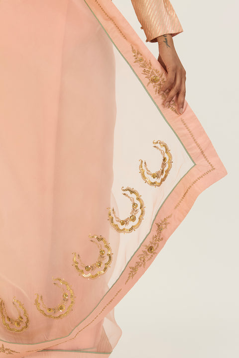 Anamika Saree - Salmon Pink