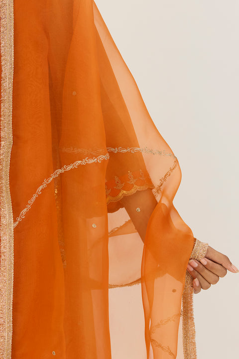 Rysa Dupatta - Orange