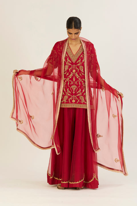 Aparna Dupatta  - Red