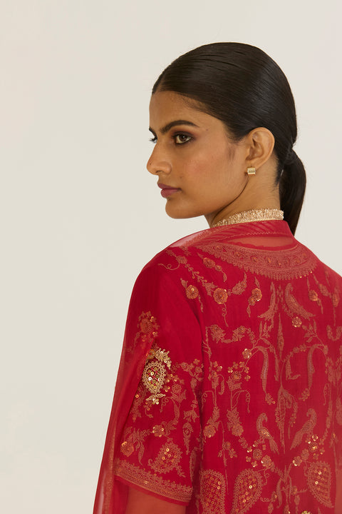 Anvi Dupatta  - Red