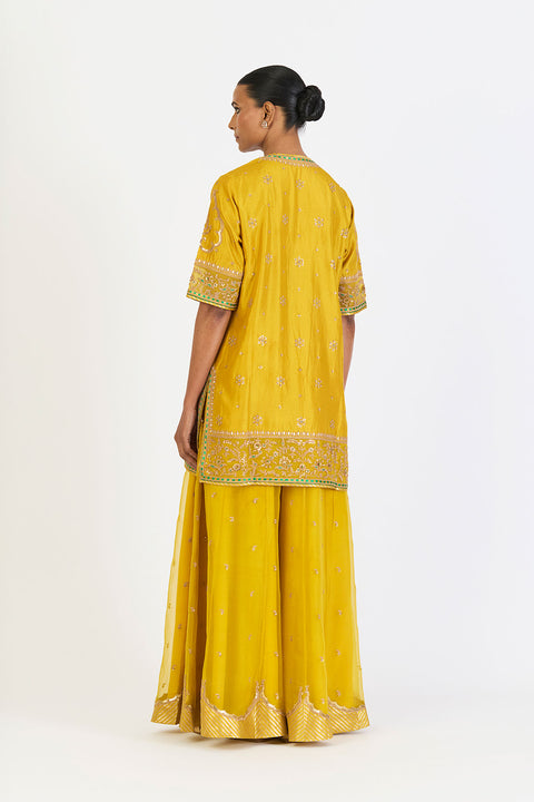 Dhvani Kurta and Sharara - Lime
