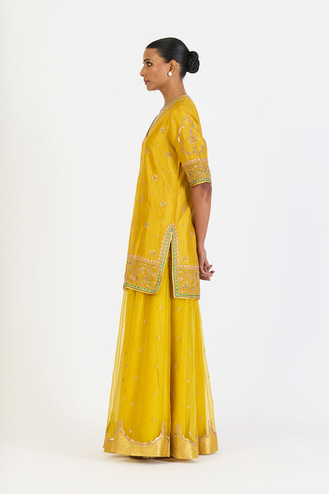 Dhvani Kurta and Sharara - Lime