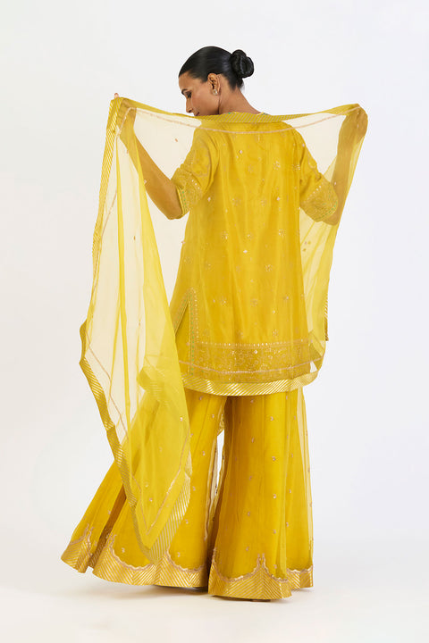 Latika Dupatta - Lime