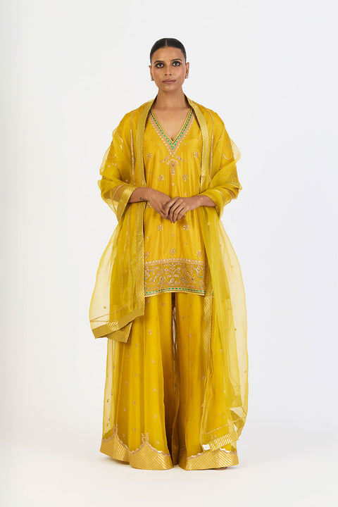 Dhvani Kurta and Sharara - Lime