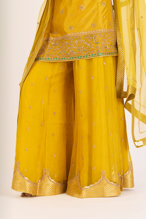 Dhvani Kurta and Sharara - Lime