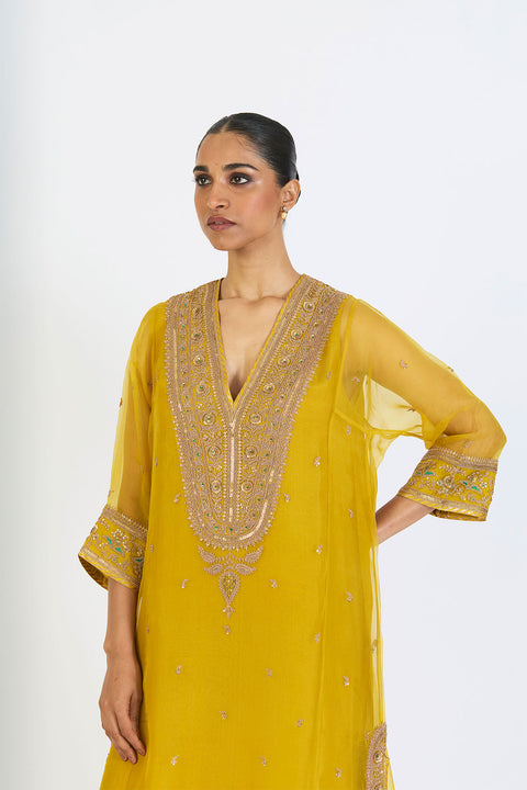 Aarohi Kurta and Pant - Lime
