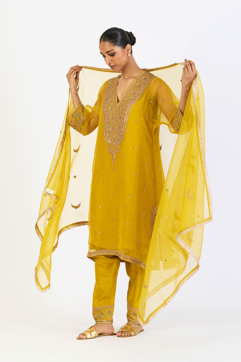 Vaanya Dupatta - Lime