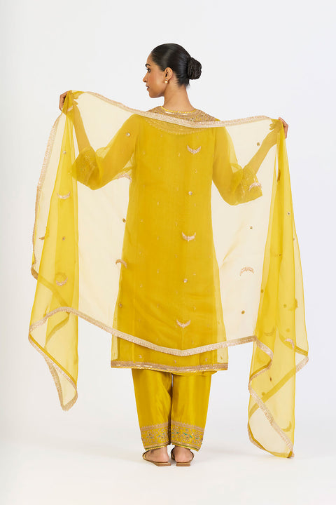 Vaanya Dupatta - Lime