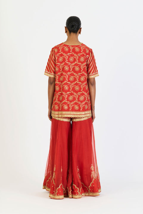 Kalindi Kurta and Sharara - Rust