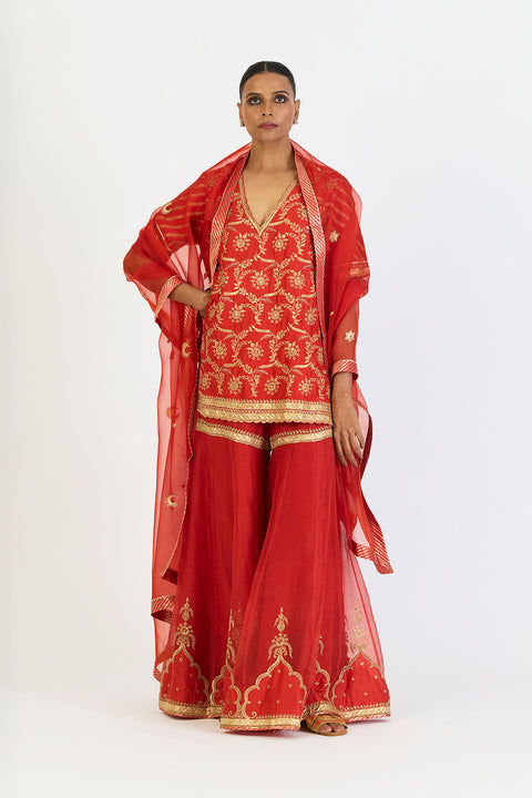 Kalindi Kurta and Sharara - Rust