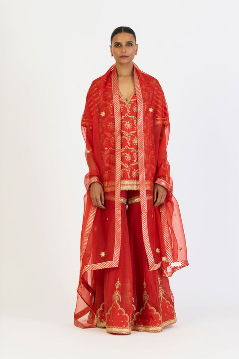 Anuja Dupatta - Rust