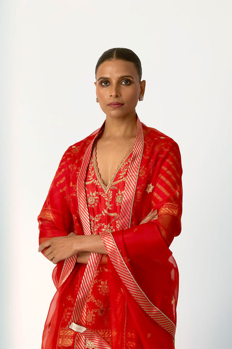 Anuja Dupatta - Rust