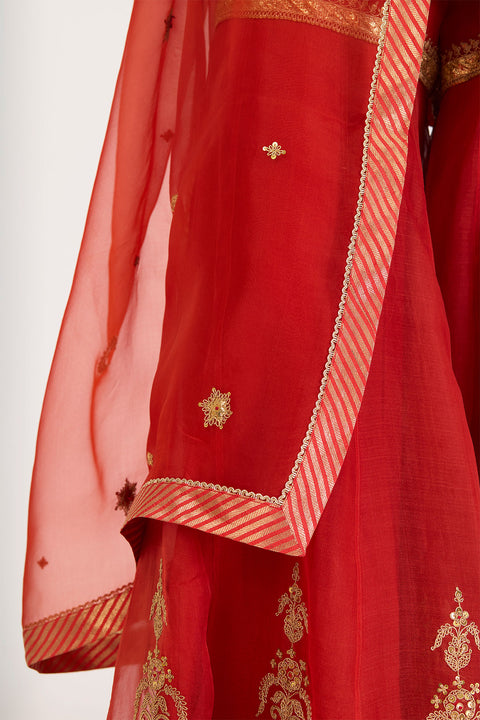 Anuja Dupatta - Rust