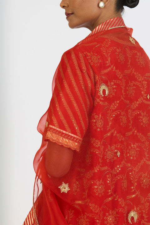 Anuja Dupatta - Rust