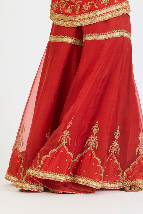 Kalindi Kurta and Sharara - Rust