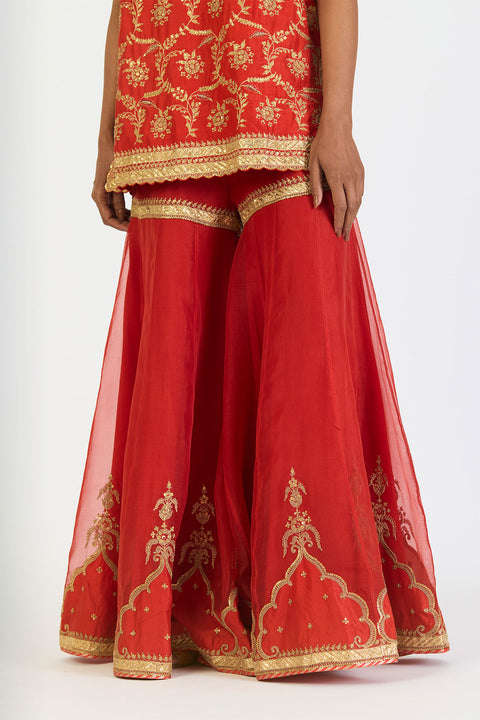 Kalindi Kurta and Sharara - Rust
