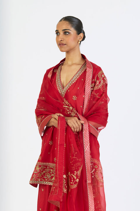 Aarini Dupatta - Red
