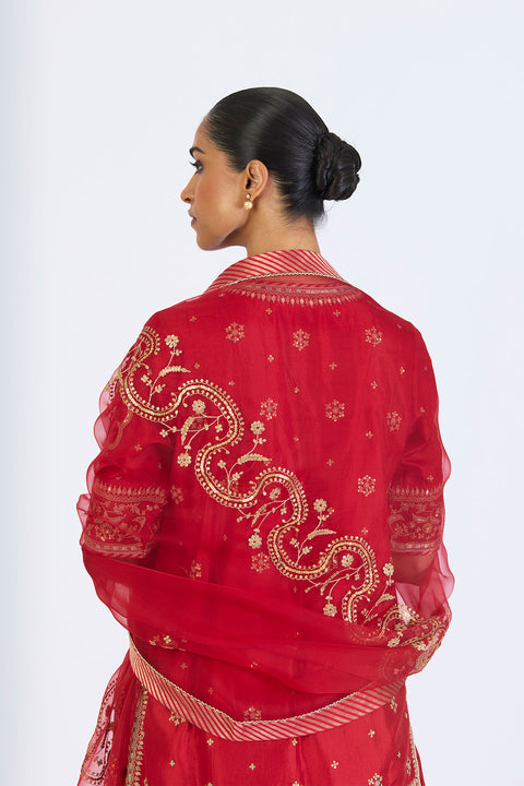 Aarini Dupatta - Red