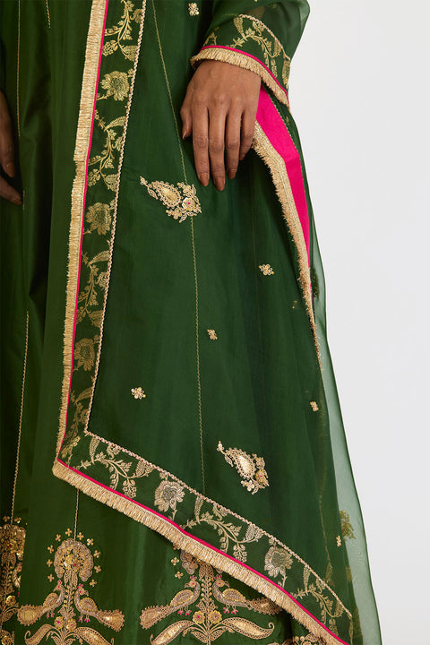 Kalyani Dupatta - Dark Green