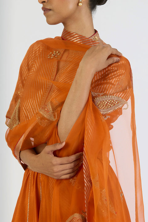 Aditi Dupatta - Orange
