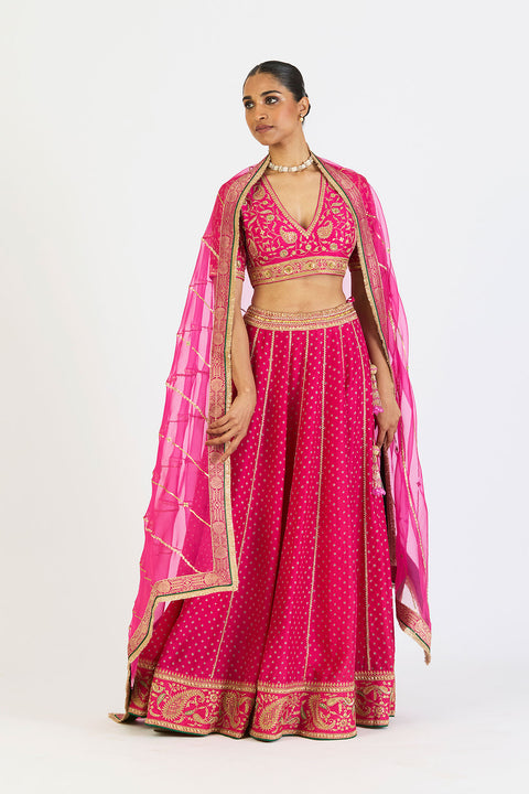 Ragini Lehenga Set - Fuschia Pink