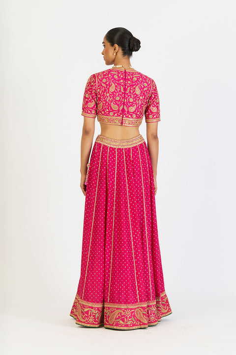 Ragini Lehenga Set - Fuschia Pink