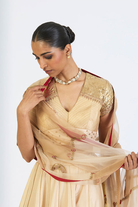 Charvi Dupatta - Oats
