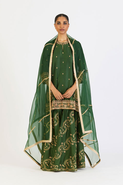 Amaya Kurta and Sharara - Dark Green