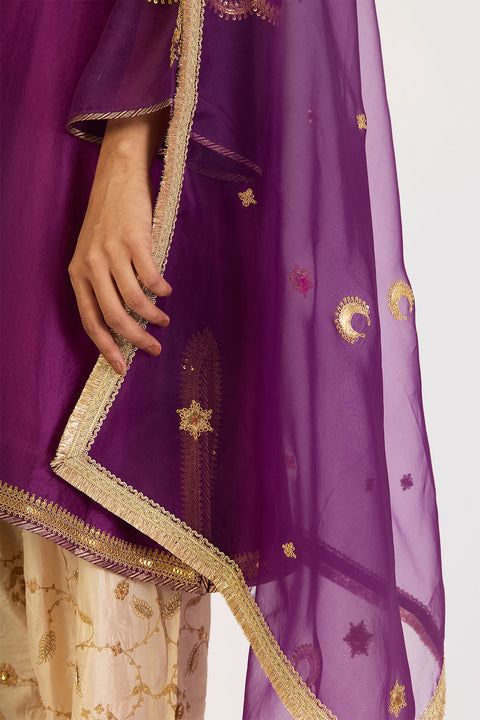 Anuja Dupatta - Magenta