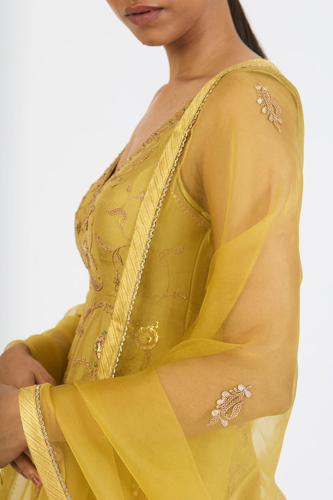 Toor Dupatta - Mint Green