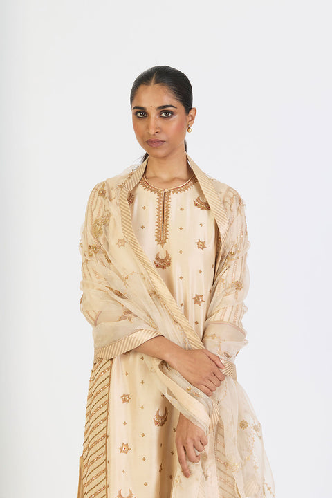 Chitra Dupatta - Oats