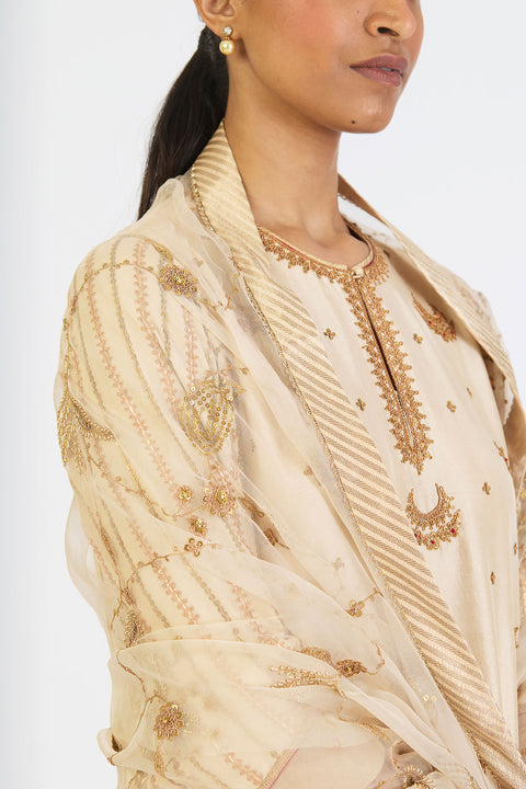 Chitra Dupatta - Oats