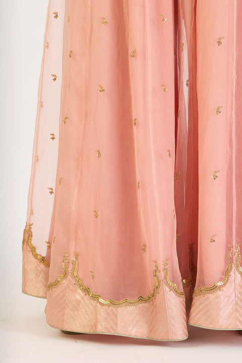 Dhvani Kurta and Sharara - Salmon Pink