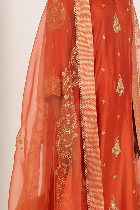 Aarini Dupatta - Rust