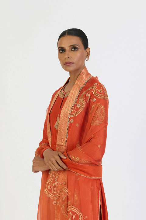 Aarini Dupatta - Rust