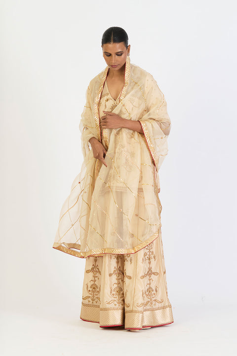 Pragya Dupatta - Oats