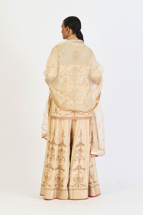Pragya Dupatta - Oats