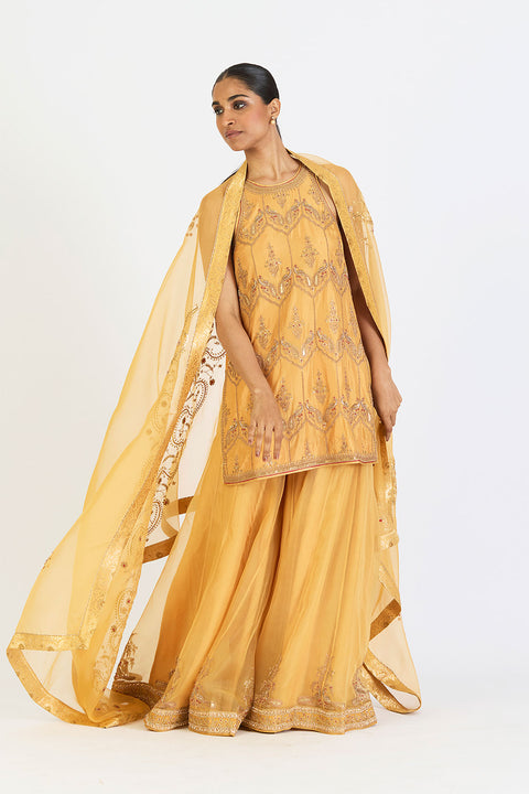 Aarini Dupatta - Yellow
