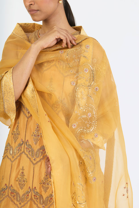 Aarini Dupatta - Yellow