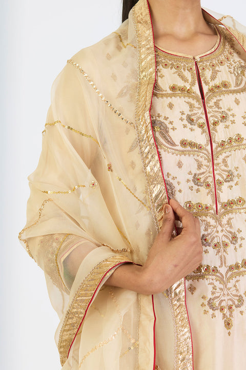 Pragya Dupatta - Oats