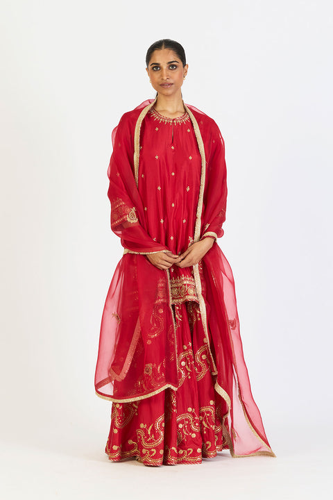 Amaya Kurta and Sharara - Red
