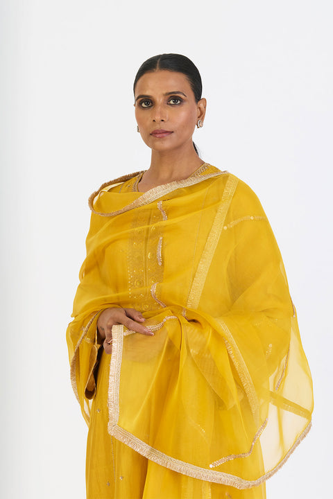 Lehr Dupatta - Lime