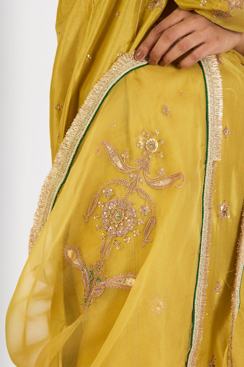 Archana Dupatta - Mint Green