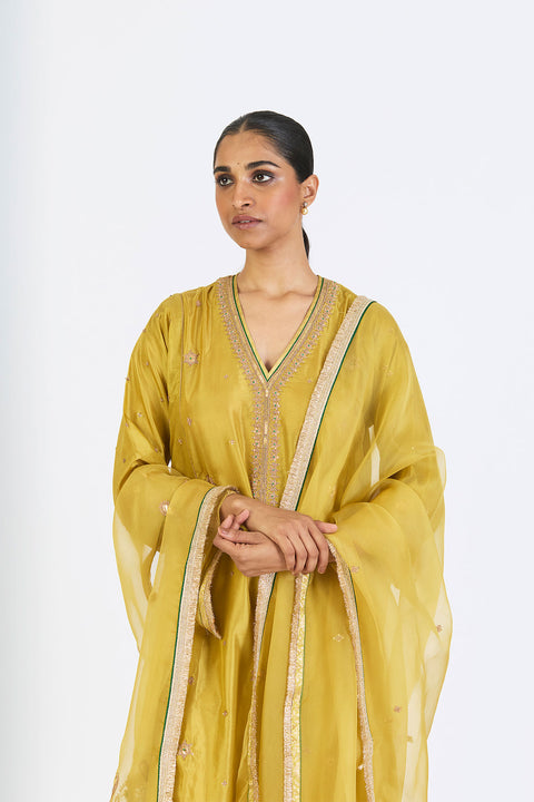 Archana Dupatta - Mint Green
