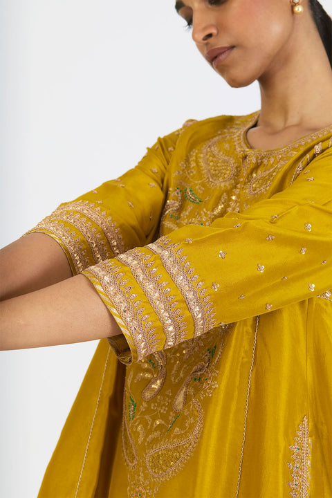 Riddhima Kurta and Pant - Lime